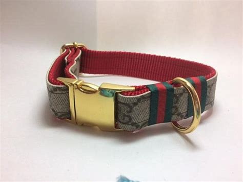 x-small gucci dog collar|More.